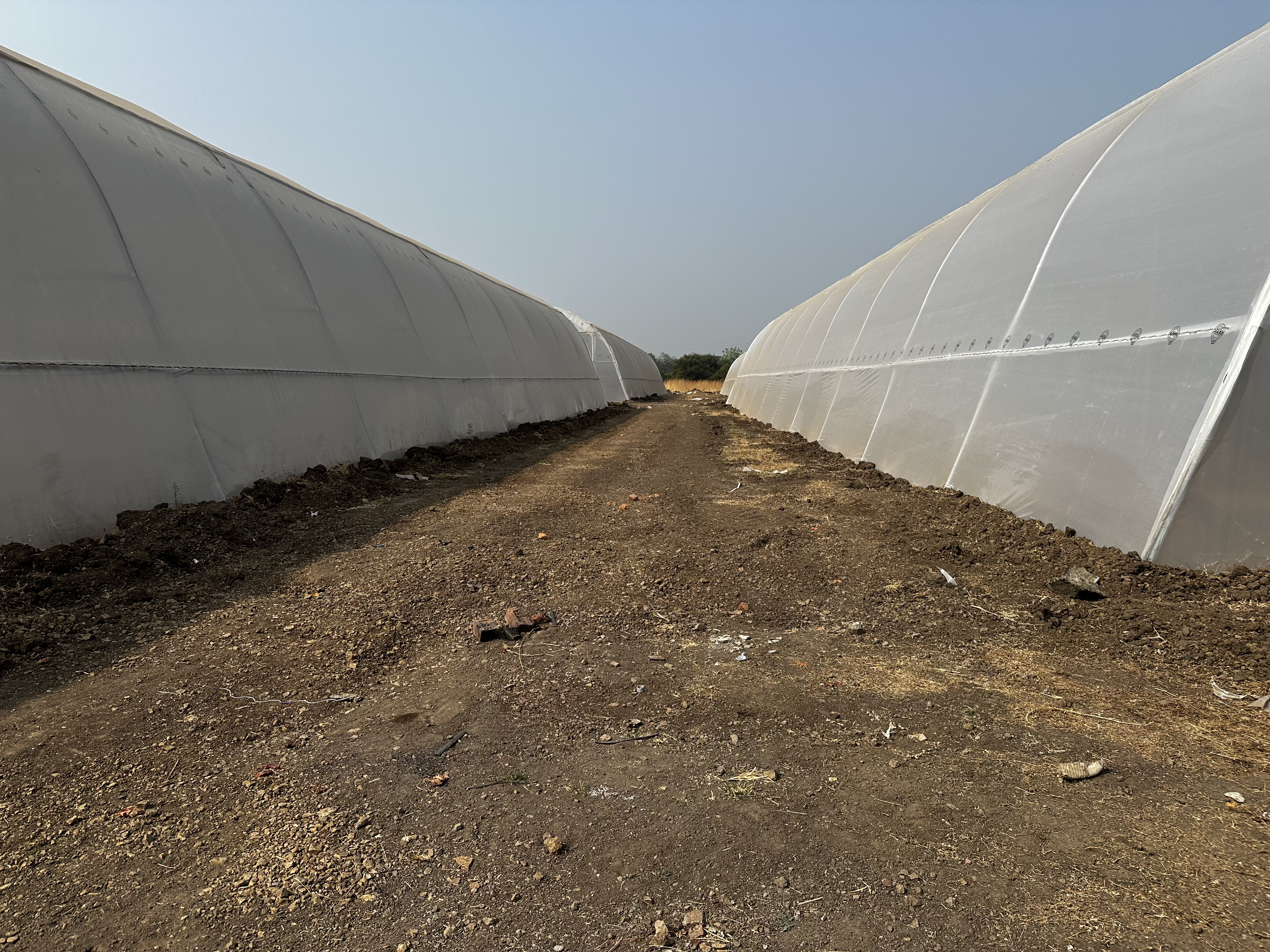 Commercial Polyhouse